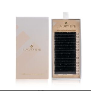 Échantillon d’extensions de cils (Taille mixte 6-13 mm)